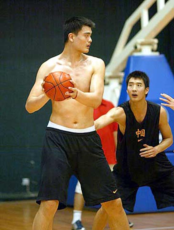 拉泰西和迪